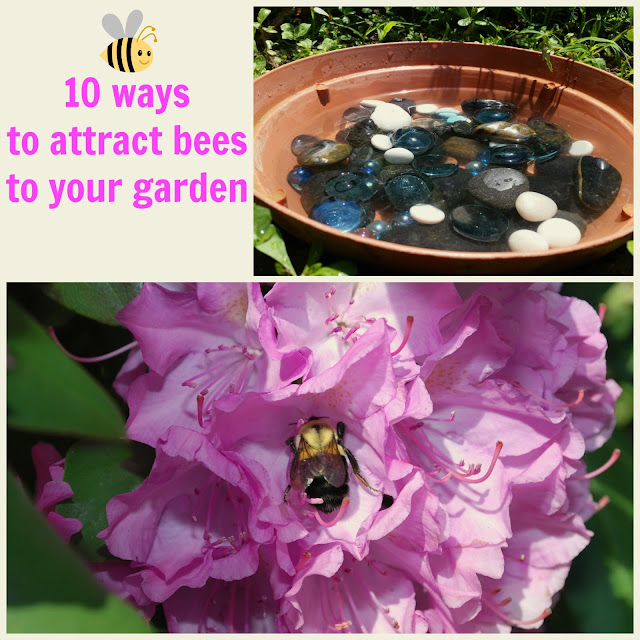 Feathers in the woods 10 Ways to attract bees to your garden