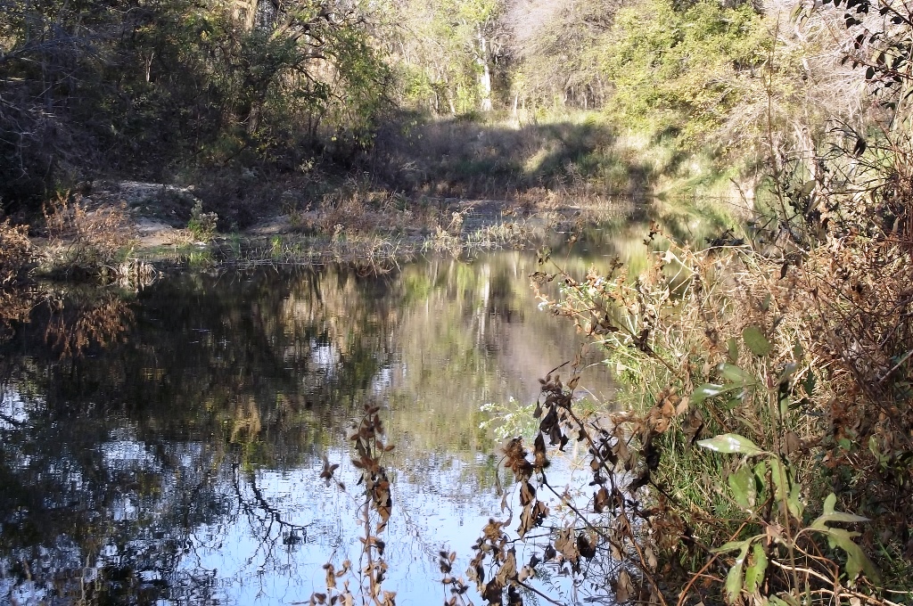 Purchasing Land in Hood County, Texas For Sale 5 acres in Tolar, Texas
