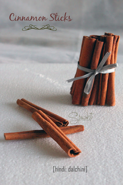 Spusht | Indian Pantry Essentials: Cinnamon Sticks | Hindi: Dalchini