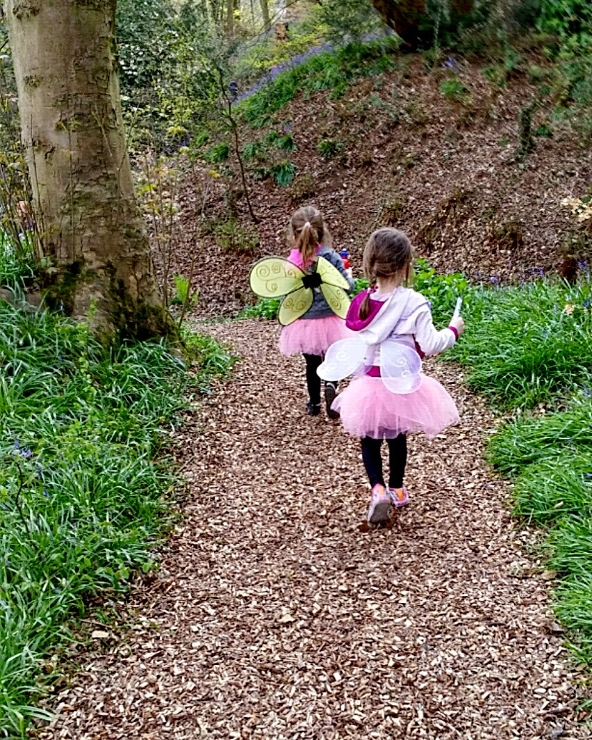 fairies in the woods