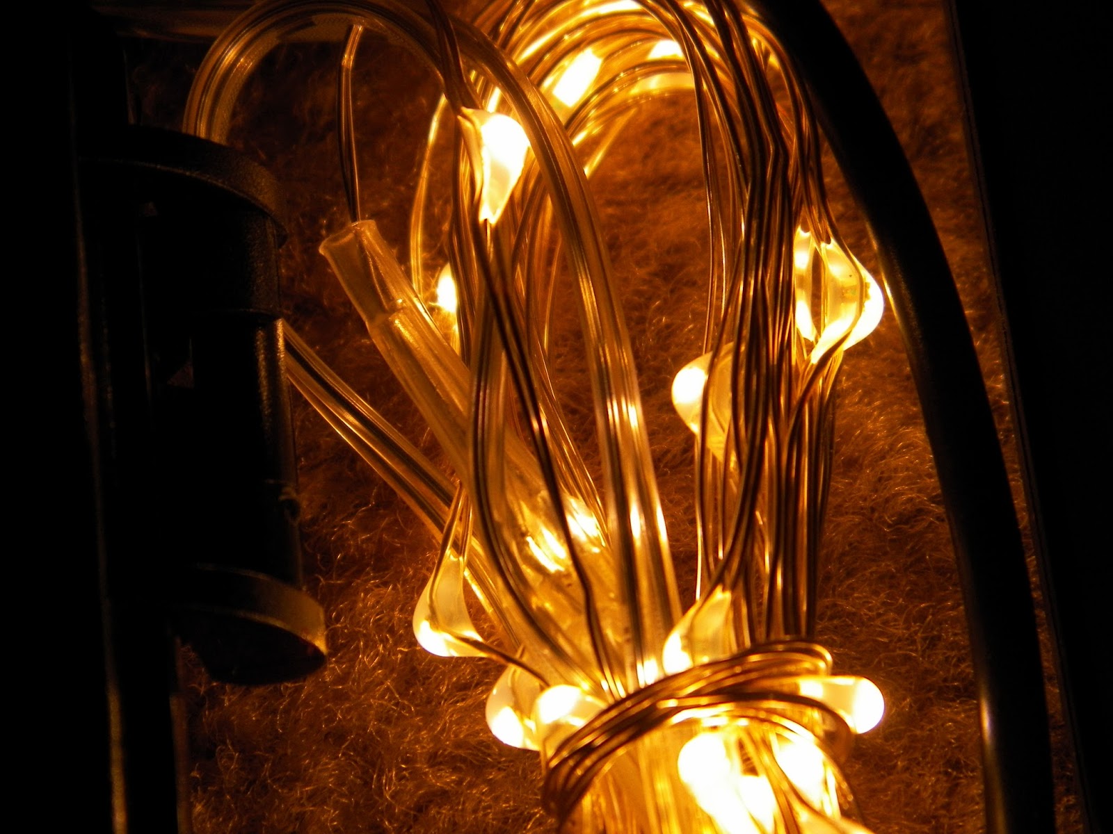 mygreatfinds RTGS 30 Micro LED String Lights in Warm White Color Review