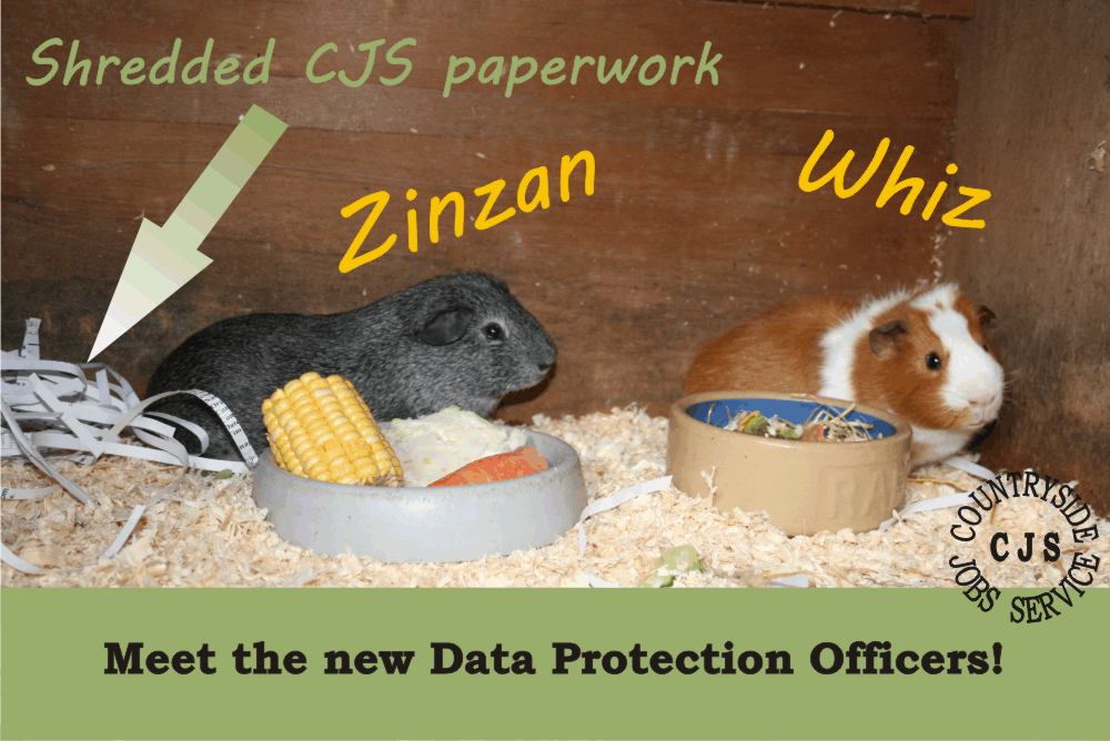 Meet The New Data Protection Officers
