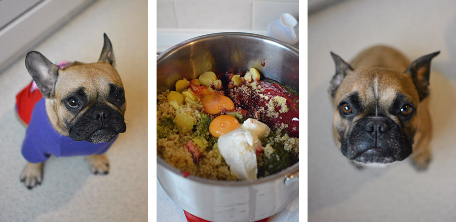 Barf Hundefutter Rationen portionieren Barf Hundefutter Rationen portionieren