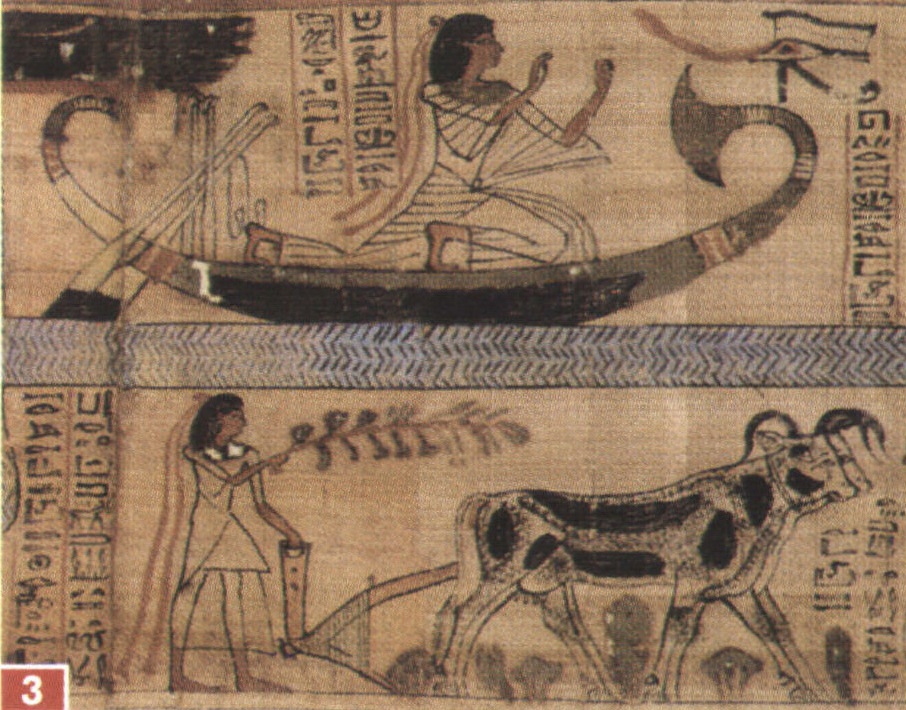 Marea Istorie Ilustrată A Lumii I 4 Egiptul Antic