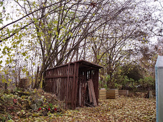 ehemalige Haselnußhecke (c) by Joachim Wenk ehemalige Haselnußhecke (c) by Joachim Wenk
