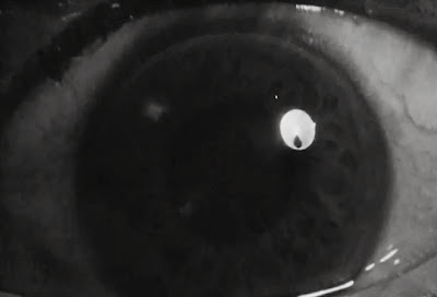 The+Spiral+Staircase+(4)