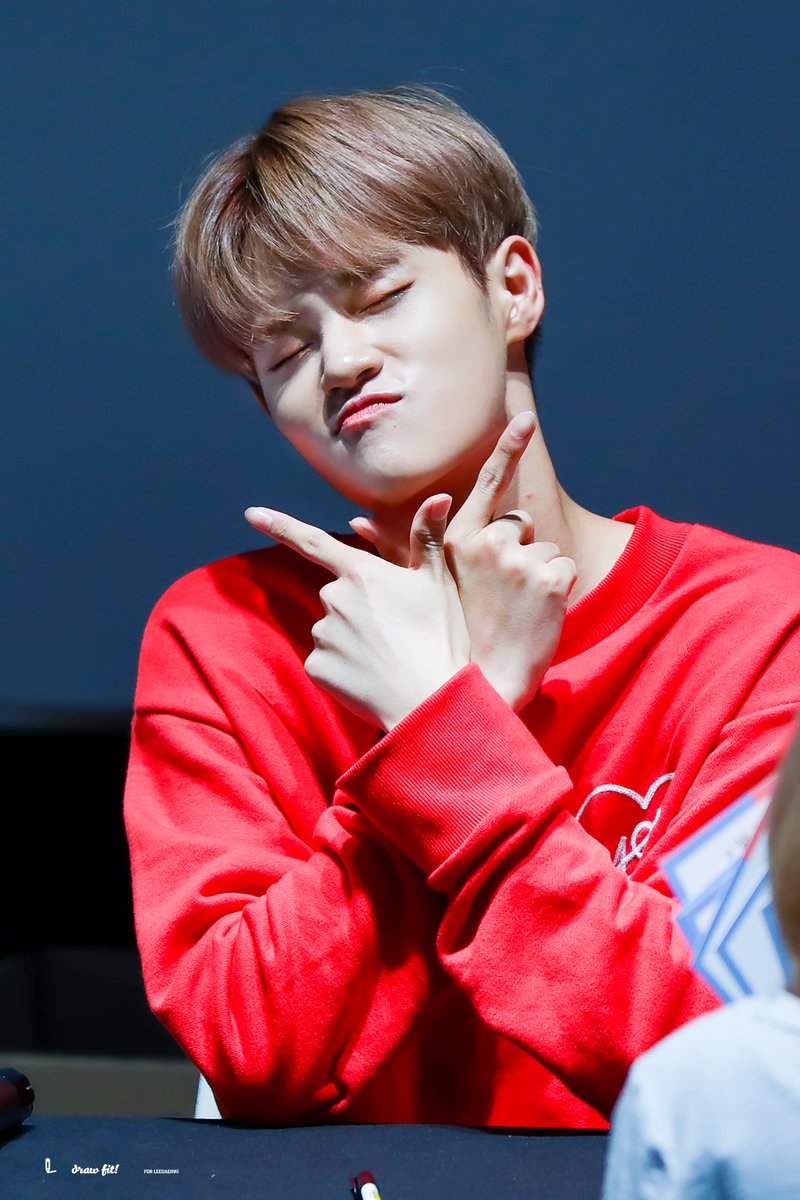 beema 101 fakta lee daehwi wanna one beserta video dan photo beema 101 fakta lee daehwi wanna one beserta video dan photo