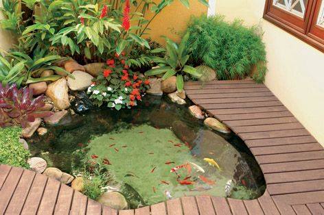 desain kolam ikan di belakang rumah