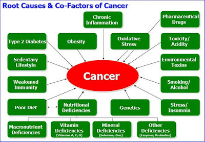 Cancer Causes & Risk Factors