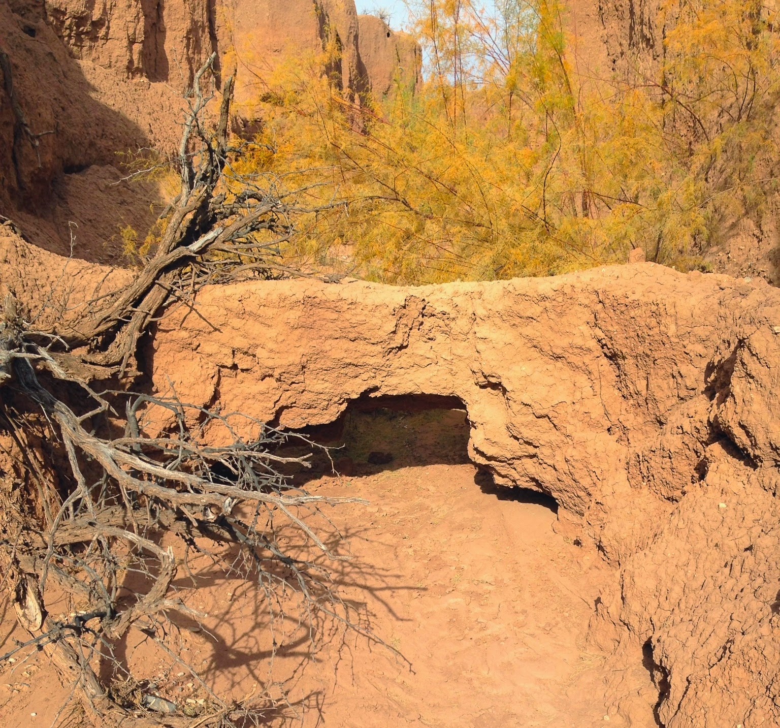 Southern New Mexico Explorer Toby Hole Mcleod Hills( Caballo Mountains)