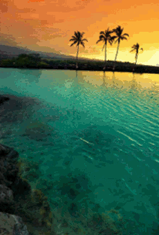 Https Encrypted Tbn0 Gstatic Com Images Q Tbn 3aand9gcrcznd13fa7nt4e Khxu9zdbwdeuns3psqdea Usqp Cau