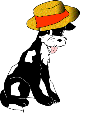 cachorro_com_chapeu.gif