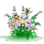 ATT000021.gif