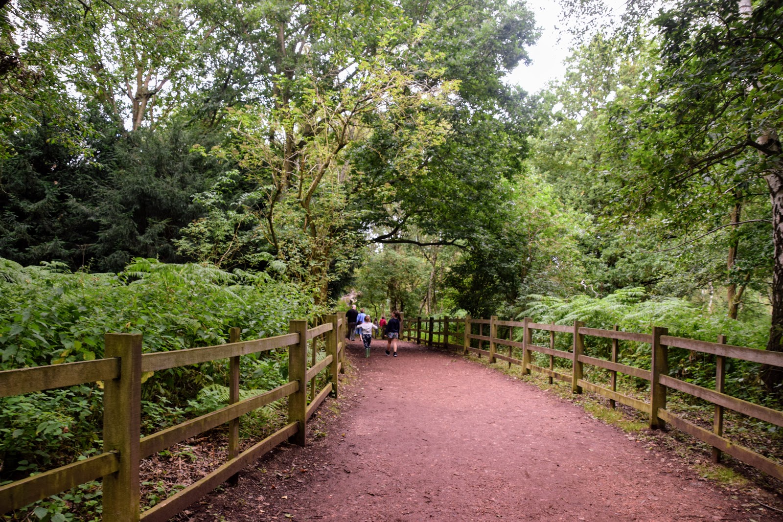 , Visiting Sherwood Forest Country Park &#038; Visitor Centre