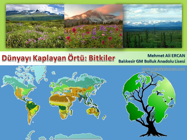 D%25C3%25BCnyay%25C4%25B1%2BKaplayan%2B%...3%25BC.jpg