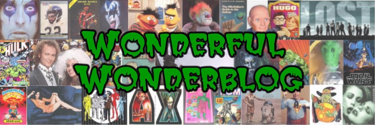 Wonderful Wonderblog