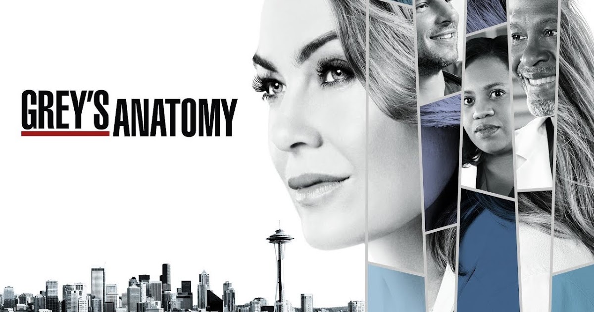 assistir greys anatomy 14 temporada