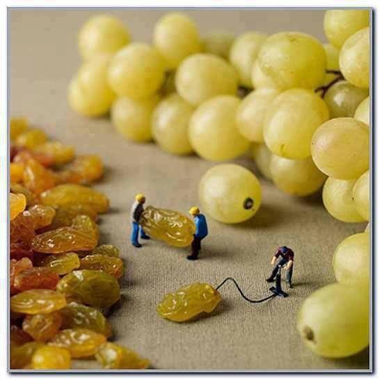 Σταφύλια Grapes
