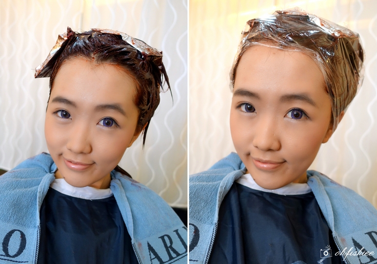 oh{FISH}iee Review Hair Coloring + Treatment LeMiz Hair Studio