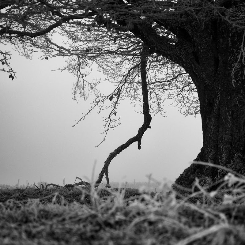 Beautiful Nature Photography by Olivier Richina from Switzerland. Beautiful Nature Photography by Olivier Richina from Switzerland.