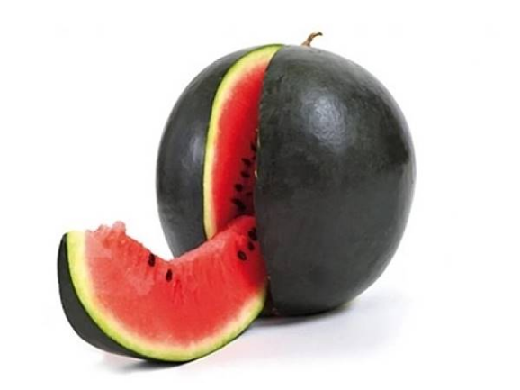Wow Ini Dia Buah Yang Dijual Dengan Harga Paling Gila Termahal Di Dunia