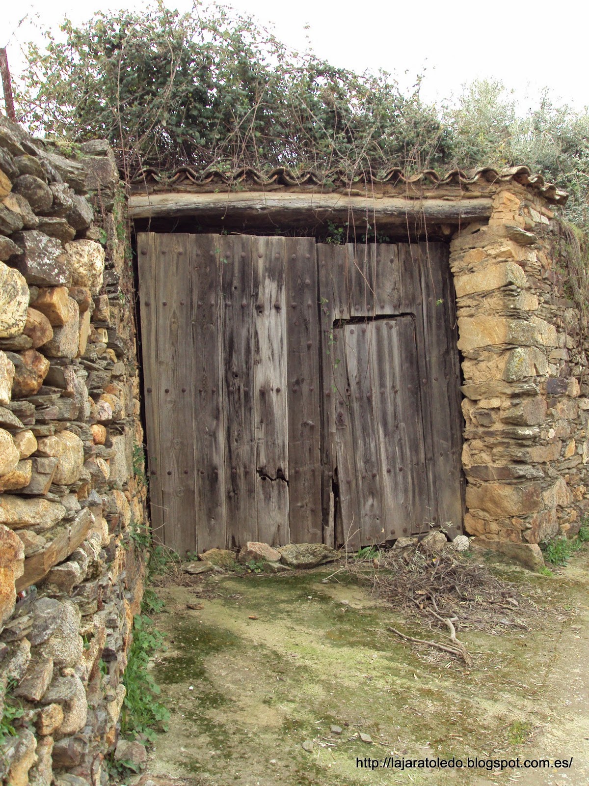 Gatera puerta