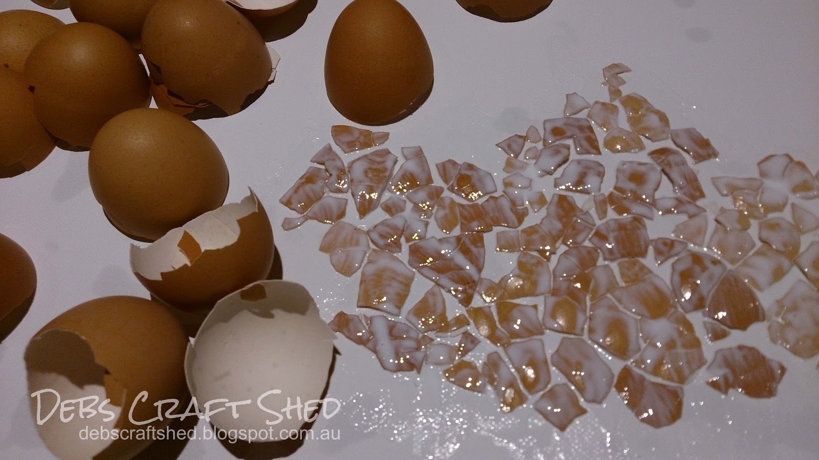 Egg Shell Painting...