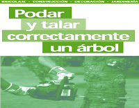 Leroy Merlín - Podar y talar correctamente un árbol podar y talar correctamente un árbol
