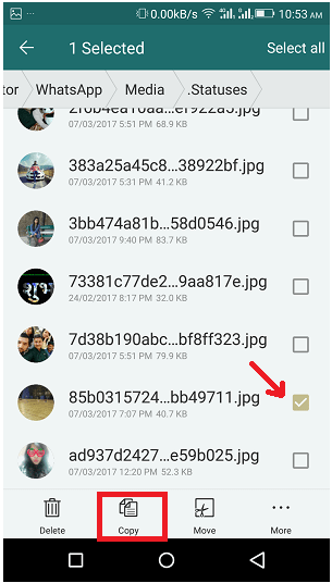 файловый менеджер ватсап