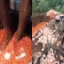 GELI WOI!! SOS JENAMA XXXXXXXX dari sebuah gudang Rupanya Dibongkar Dibuat Dgn Cara Yang KOTOR, Pijak Dengan KAKI.. Juga DIDAKWA Menggunakan Bahan KIMIA BERBAHAYA!!!