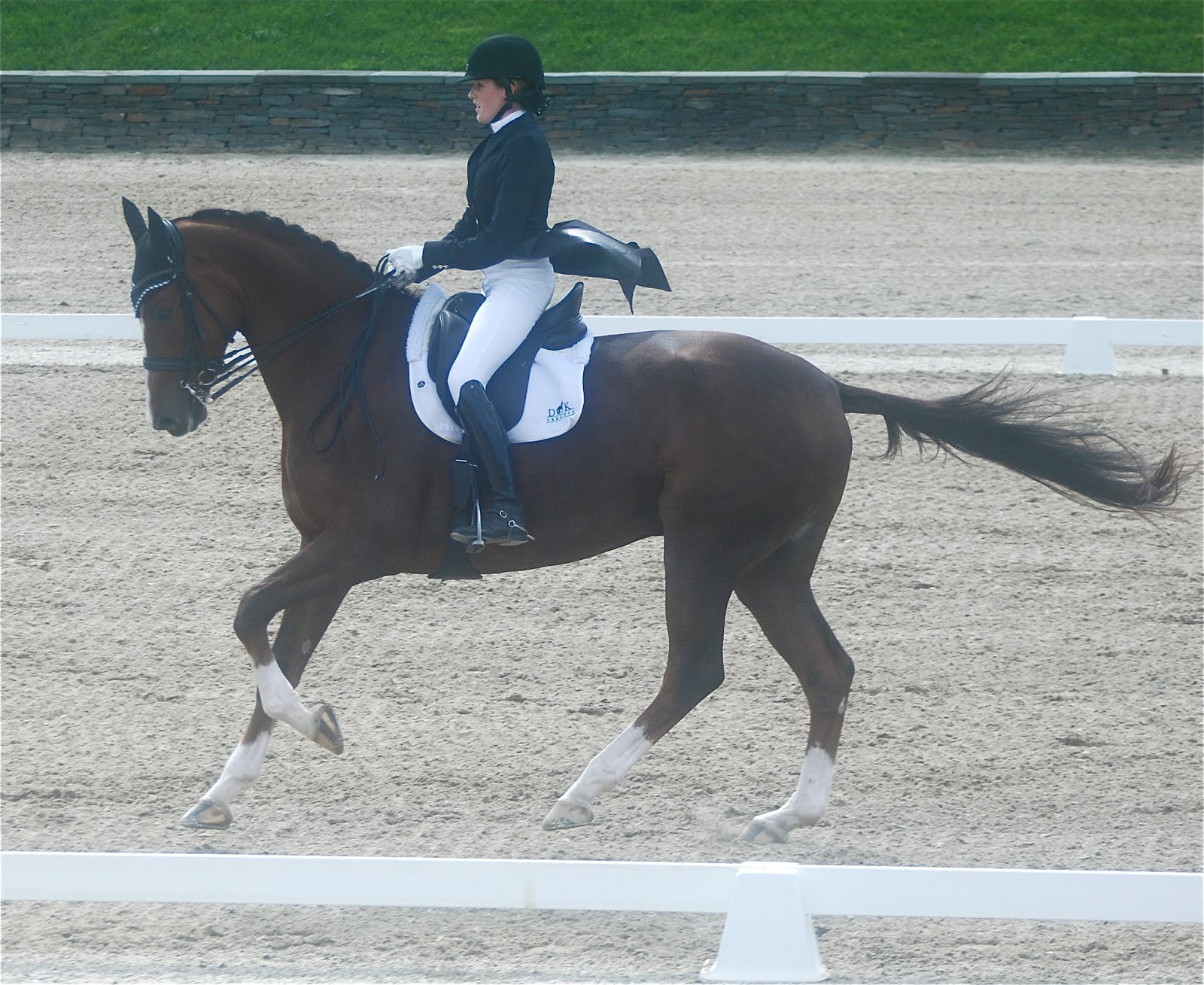 The Grand Prix Dressage Test All Chopped Up With No