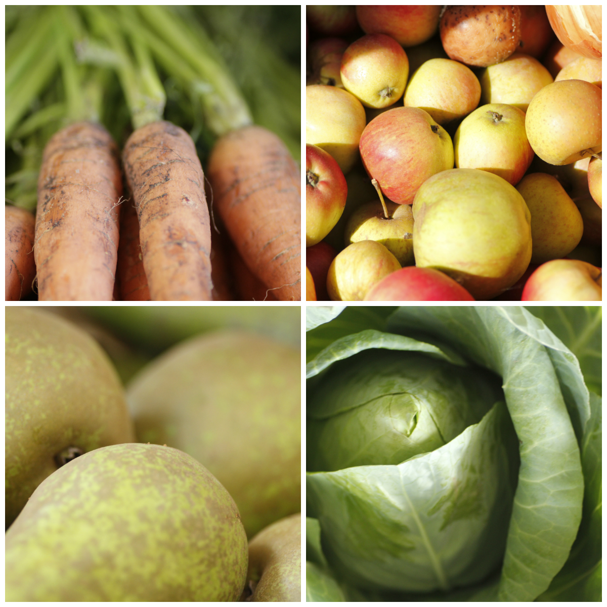 The Orchard Tea Room & Farm Shop Seasonal Fruit & Vegetables January