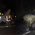 Comando armado de 15 camionetas de sicarios emboscan a policías en tramo carretero González- Mante en Tamaulipas