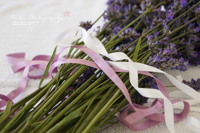 Lavendel mit Satinband
