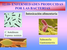 Enfermedades producidas por bacterias
