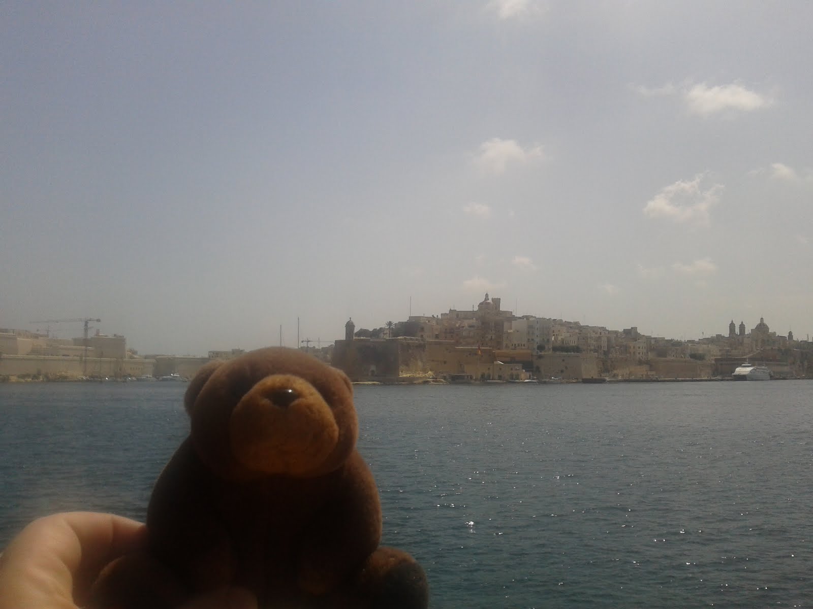 Teddy Bear in Malta