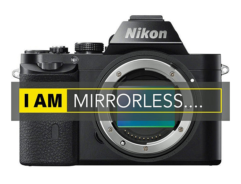 Michael Daniel Ho The Wildlife Hotographer Canon and Nikon Full