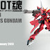 Robot Damashii (SIDE MS) Aegis Gundam official images
