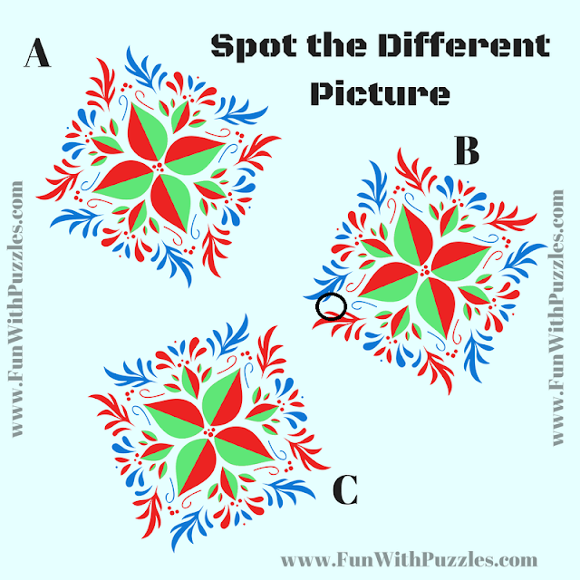 Observation Power Test: Odd One Out Picture Puzzle Answer