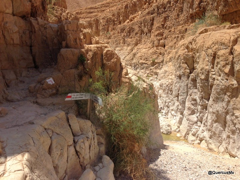Entrada al cañón seco de Wadi David
