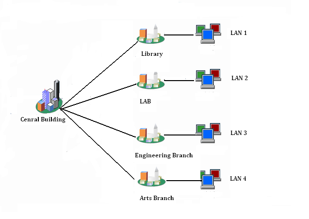 Can In Networking Ramesh: Type of Network