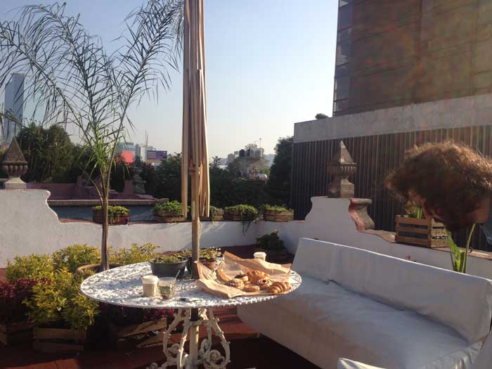 Apartamento-Colonia-Roma Azotea-Apartamento-Colonia-Roma