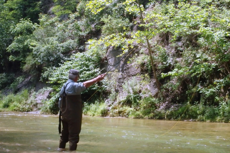 Life in the Slow Lane (The Pearl) June 28 Salmon Creek, Lansing, NY