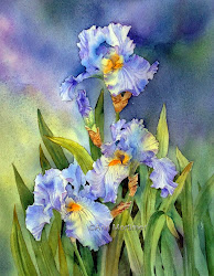 iris mortimer flowers watercolor ann paintings irises painting flower harbour drawing floral canvas peinture watercolors orange finished aquarelle fleurs barbu