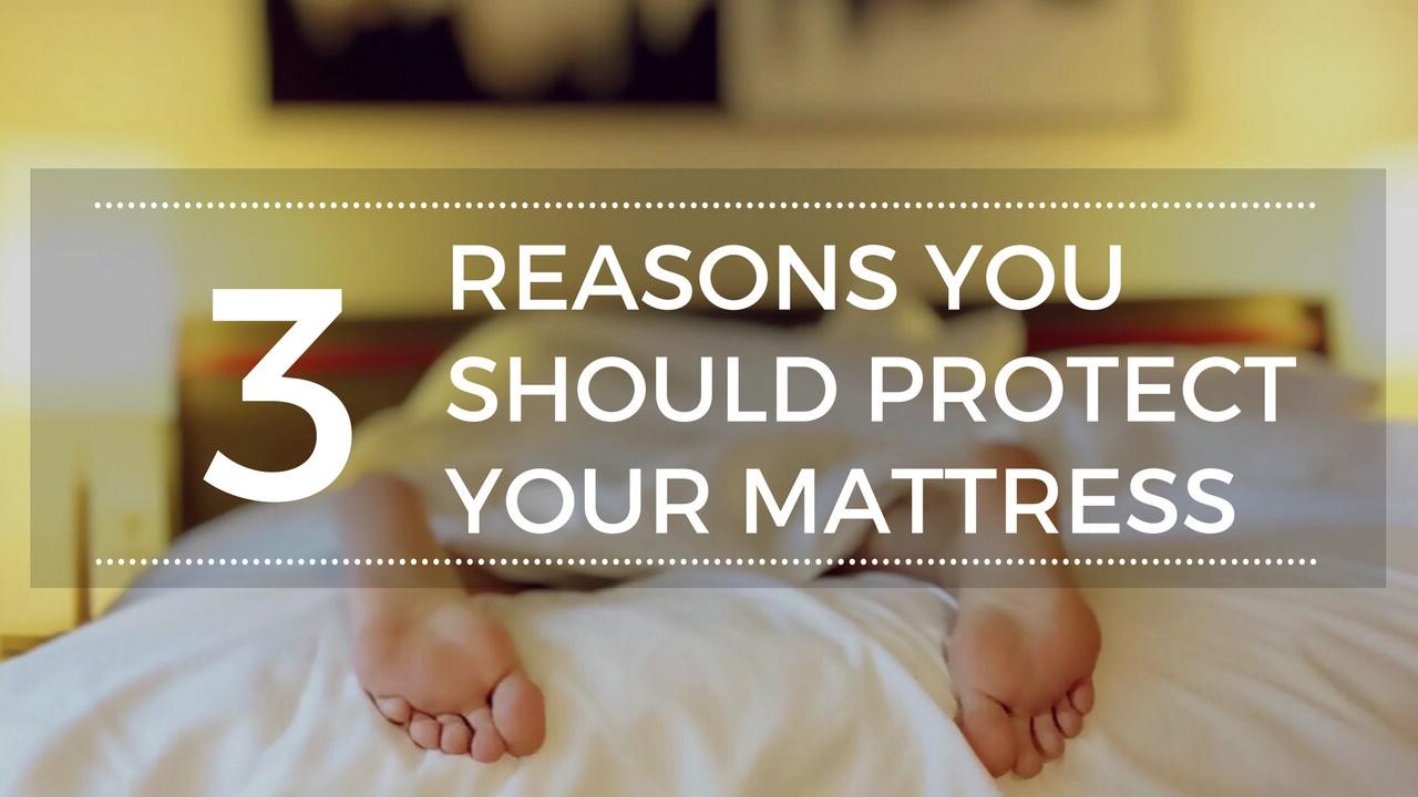 3 Reasons Why You Should Protect Your Mattress Alex Gladwin Blog