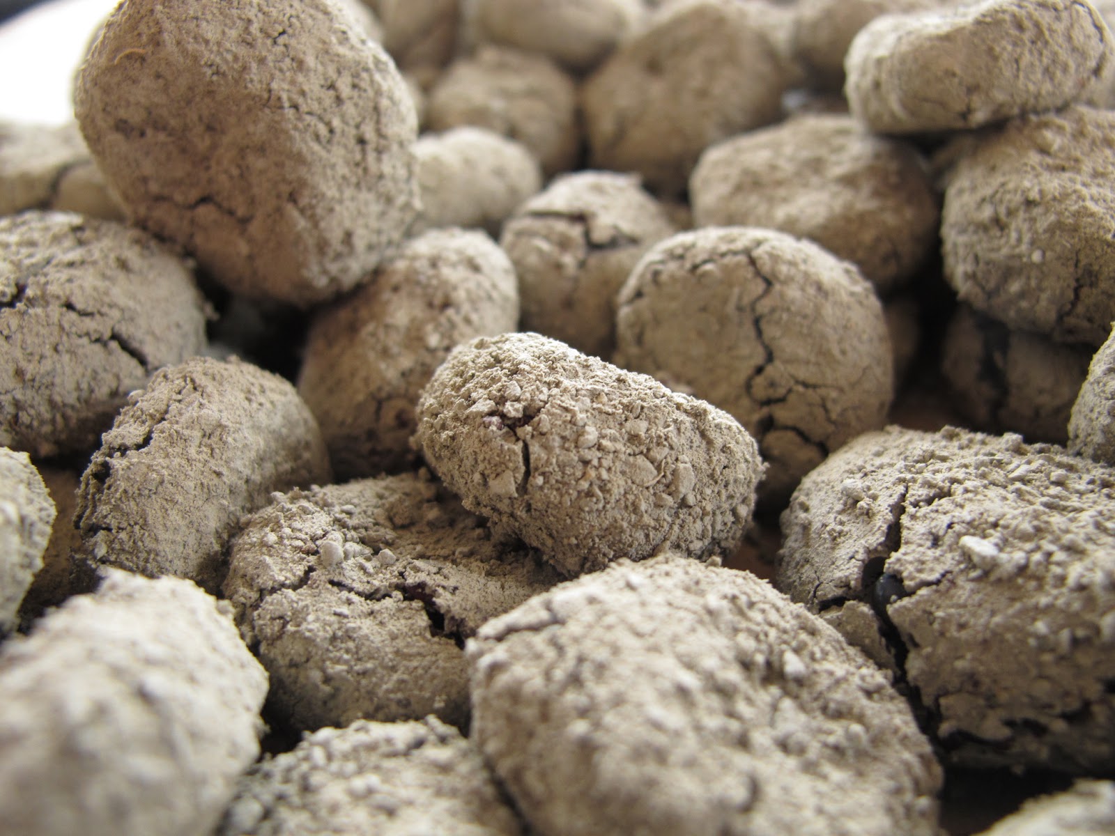 Joe's Garden Journal: Making Seed Balls