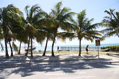 Urlaub am Meer Palmen, Strand und Meer