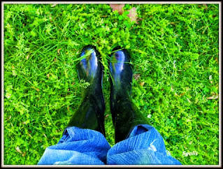 Garden boots