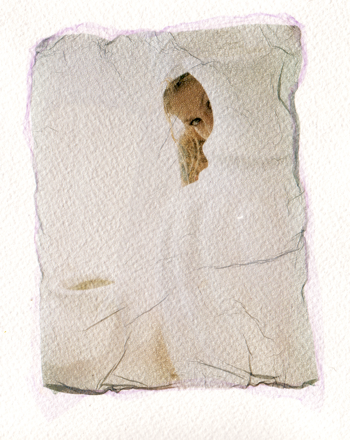 Mix Tape Photography: Polaroid Emulsion Lift Nudes, 2004