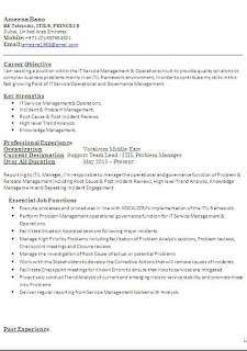 Experienced Telecom Engineer Resume Format in Word Free Download